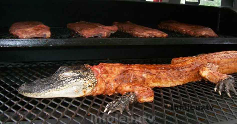 Alligator BBQ